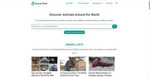animalvivid.com