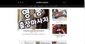 comfort-lamarck.com
