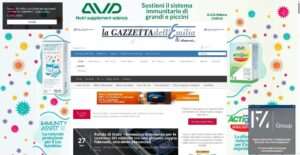 gazzettadellemilia.it