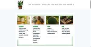 greennestify.com