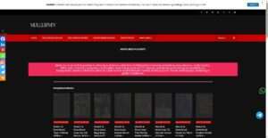 mallumv.com.in