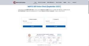 mepcoebillcheck.pk