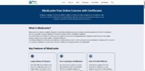 mindluster.com.in