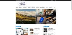 mindmybusinessnyc.com