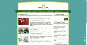 moneynewsweb.com