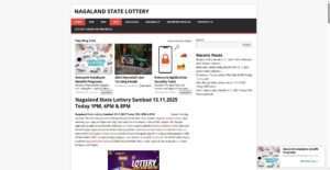 nagalandstatelottery.in