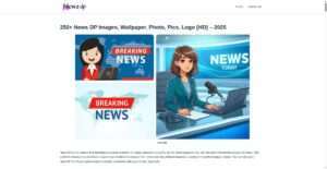 newzdp.com