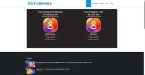 nsfollowers.in
