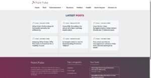 paintpulse.co.uk
