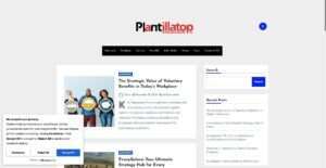 plantillatop.com