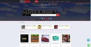 techbigs.co.in