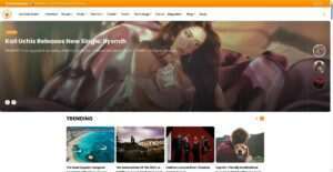 thefoxmagazine.com