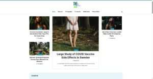 thehubflx.com