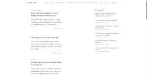 travelsbird.com