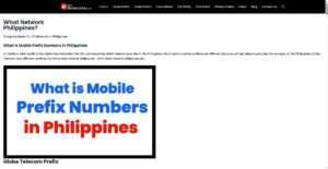 whatnetworksph.com